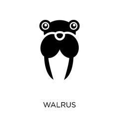 Walrus icon. Walrus symbol design from Animals collection.