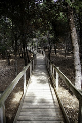 Obraz premium Wooden footbridge in the forest