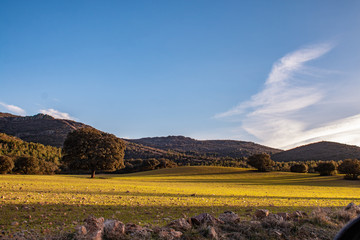 Fototapeta premium Paisaje en la sierra