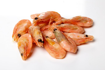 Shrimp isolated on white background