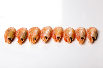 Shrimp isolated on white background