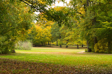 autumn in a park north of Copenhagen