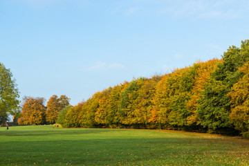 autumn in a park north of Copenhagen