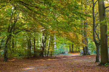 autumn in a park north of Copenhagen