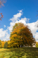 autumn in a park north of Copenhagen