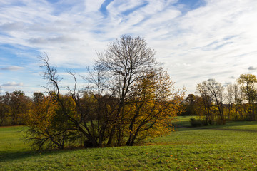 Fototapeta na wymiar autumn in a park north of Copenhagen