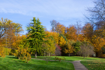 autumn in a park north of Copenhagen