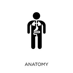 Anatomy icon. Anatomy symbol design from Gym and fitness collection.