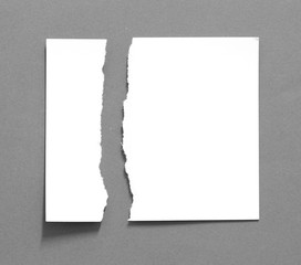 pieces of torn paper texture background, copy space.