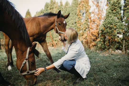 Veterinarian with horses outdoors in nature.