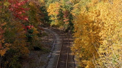 Fototapeta na wymiar railway in autumn, no people, colours.