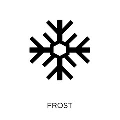 Frost icon. Frost symbol design from Weather collection.