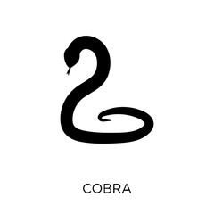 Cobra icon. Cobra symbol design from India collection.
