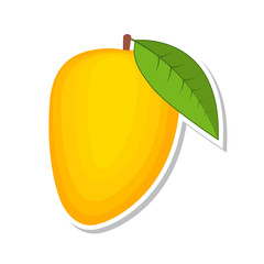 Mango. Sweet fruit. Isolated fruit on white background. Vector illustration.