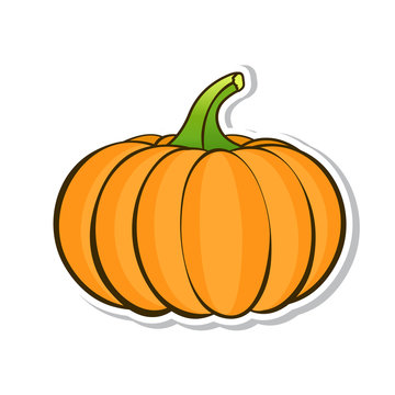Orange pumpkin. Sticker isolated on white background. Vector illustration.