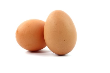 Egg fresh food