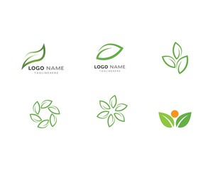 Tree leaf vector logo design