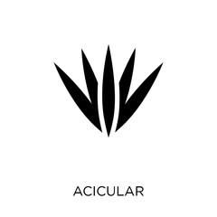 Acicular icon. Acicular symbol design from Nature collection.