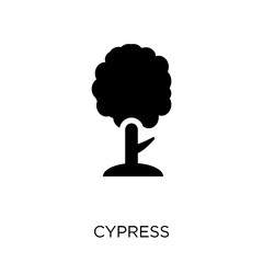 Cypress icon. Cypress symbol design from Nature collection.