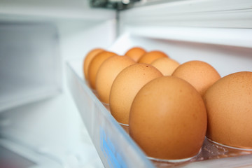 eggs arrange on refrigerator shelf