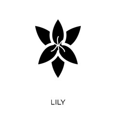 Lily icon. Lily symbol design from Nature collection.