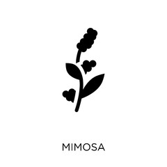Mimosa icon. Mimosa symbol design from Nature collection.