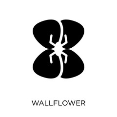Wallflower icon. Wallflower symbol design from Nature collection.