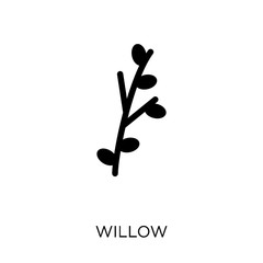 Willow icon. Willow symbol design from Nature collection.