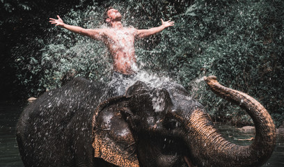 guy seat on the elephant in the lake in jungle of background - Powered by Adobe