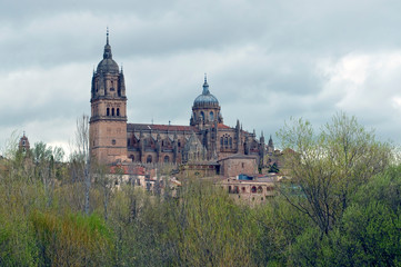 Fototapeta na wymiar Cathedral of Salamanca