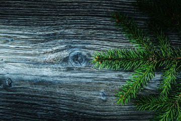 Coniferous tree branch on vintage wooden board