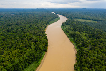 Aerial drone view of a long winding river through a tropical rain forest © whitcomberd