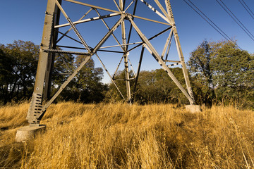 Electrical Tower in Dry Grasses