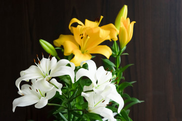 yellow and white lilies
