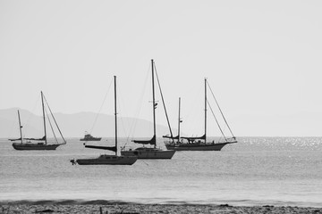 Veleros al atardecer