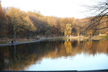 lake in autumn