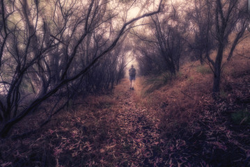 Backbone Trail Yerba Buena