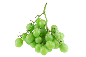 fresh green grapes isolated on white background
