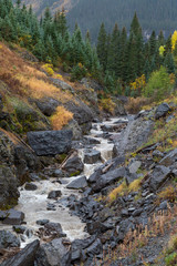 Fototapeta na wymiar Colorado mountain rocky stream in fall colors aspens fir