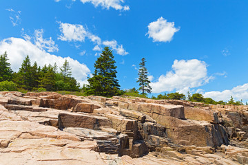 Geological formation of granite rocks in Acadia National Park, Maine, USA. Landscape with spruce forest and granite rocks under a blue sky with cumulus clouds.