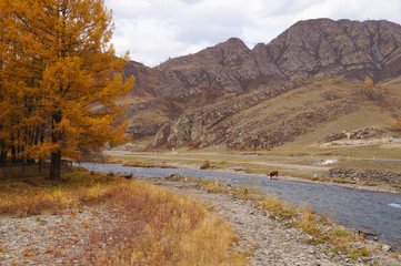 Beautiful view on the way from Chemal district to Aktash,Russia.