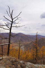 Beautiful view of Altai Mountain,Russia.