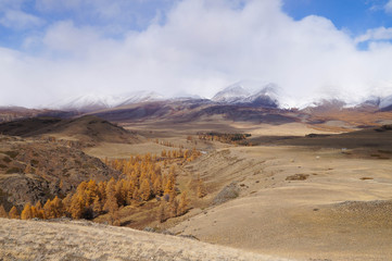 Beautiful Kurai Valley in autumn,Altai,Russia.