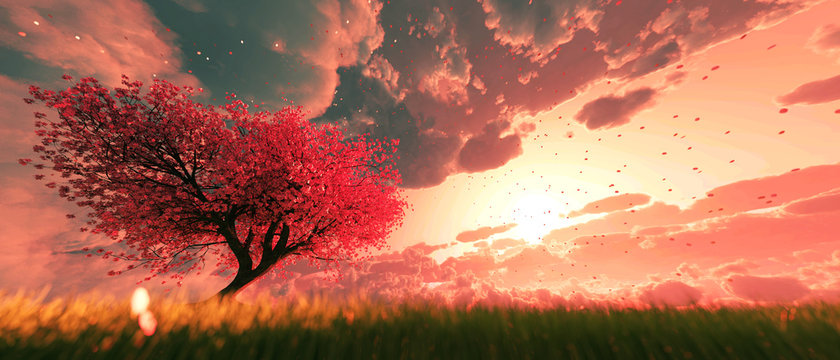 Garden of heaven,Background of sakura tree flower at sunrise or sunset sky,3d rendering