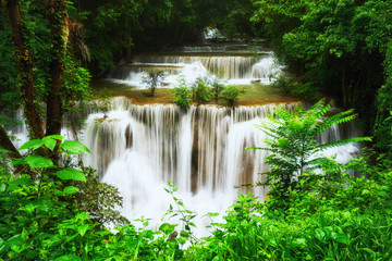 giant waterfall in complete green forest