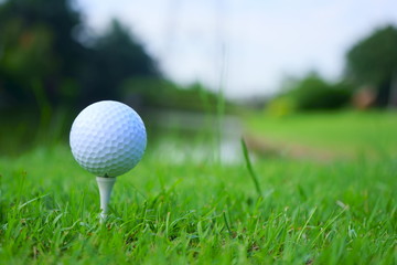 Golf ball and tee on golf green course background