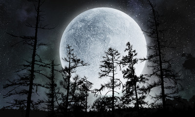 Obraz na płótnie Canvas Full moon in sky