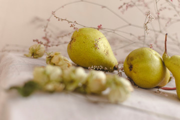 Fototapeta na wymiar Pears, hops and flowers lie on linen fabric. The concept of comfort, warmth and home. Autumn or fall abstract warm background. Flat lay, top view, copy space.