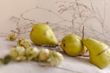 Fototapeta na wymiar Pears, hops and flowers lie on linen fabric. The concept of comfort, warmth and home. Autumn or fall abstract warm background. Flat lay, top view, copy space.