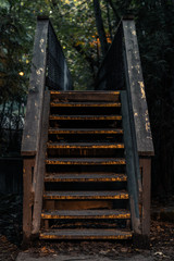wooden stairway